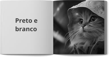 PRETO E BRANCO PRETO E BRANCO