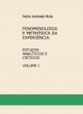HUSSERL - FENOMENOLOGIA E METAFÍSICA DA EXPERIÊNCIA HUSSERL - FENOMENOLOGIA E METAFÍSICA DA EXPERIÊNCIA