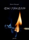 (EM) PROCESSO (EM) PROCESSO