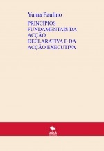 PRINCÍPIOS FUNDAMENTAIS DA ACÇÃO DECLARATIVA E DA ACÇÃO EXECUTIVA