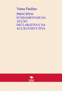 PRINCÍPIOS FUNDAMENTAIS DA ACÇÃO DECLARATIVA E DA ACÇÃO EXECUTIVA