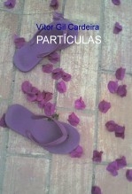 PARTÍCULAS PARTÍCULAS