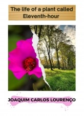 Livro %titulolivro%, autor %nomeautor% Livro %titulolivro%, autor %nomeautor%
