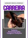 Carreira, salário, remuneração, cargos e funções