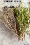 REMEDIES OF OUR ANCESTORS REMEDIES OF OUR ANCESTORS