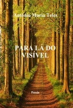 PARA LÁ DO VISÍVEL PARA LÁ DO VISÍVEL