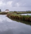 Aveiro é luz ...