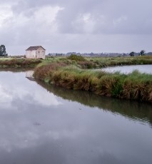 Aveiro é luz ...