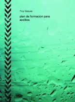 plan de formacion para acolitos plan de formacion para acolitos